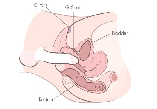 Orgasm spots clitoris