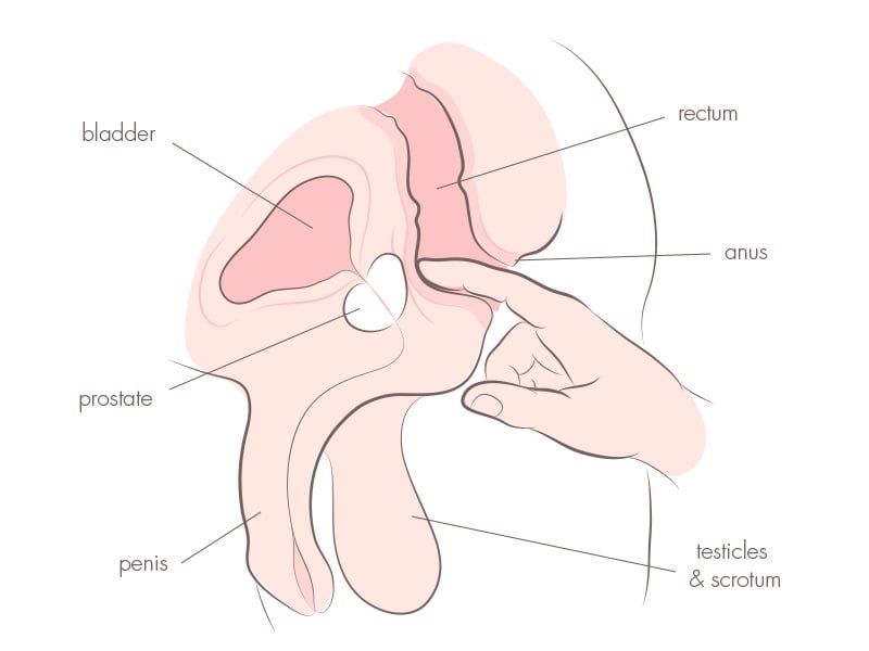 How To Find and Stimulate The Male G Spot For Powerful Orgasms