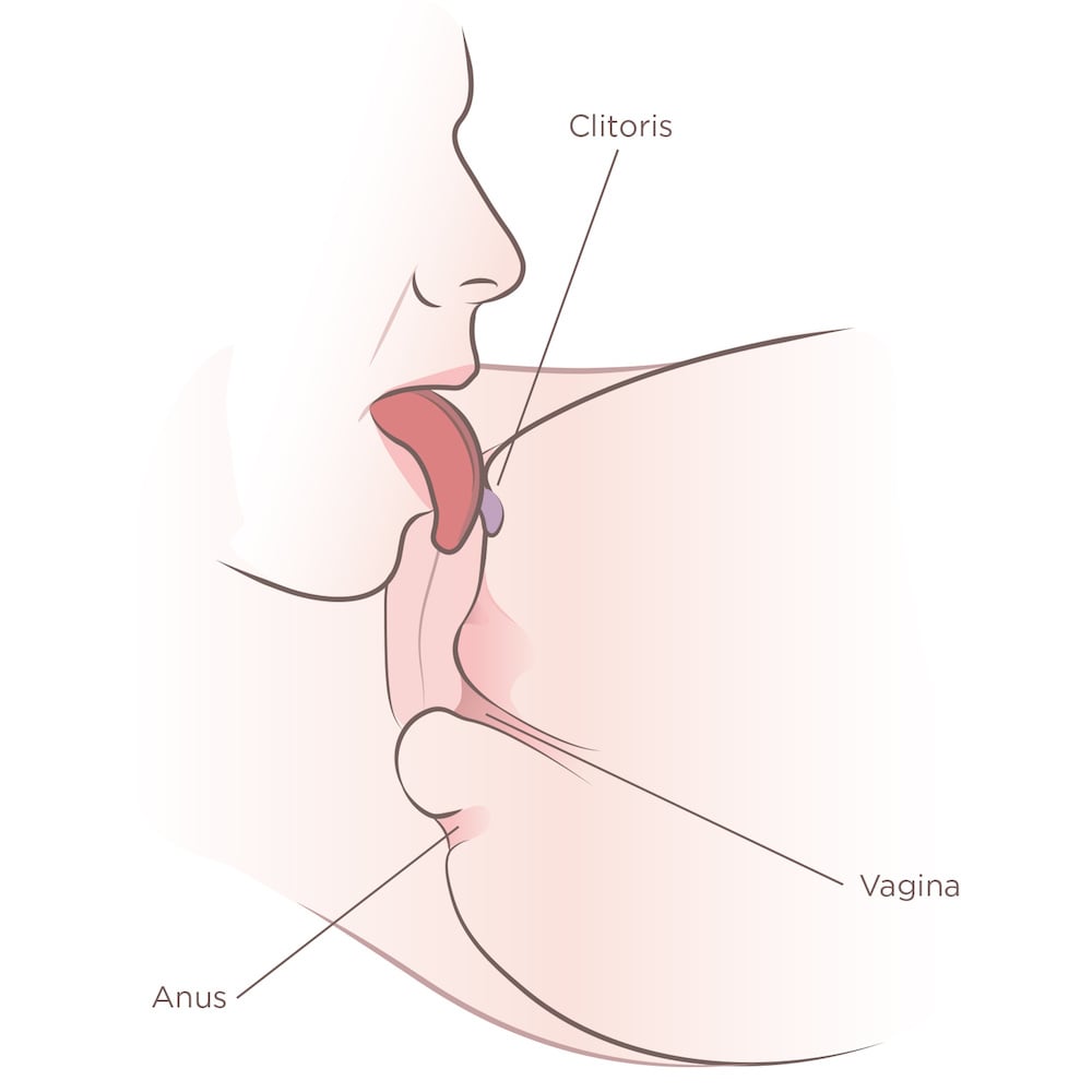 Clitoris and vagina licking