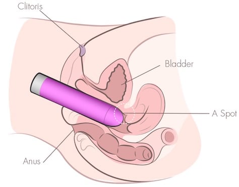 Vibrator And Cums