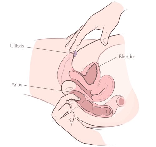 Finger Vaginal Penetration Positions