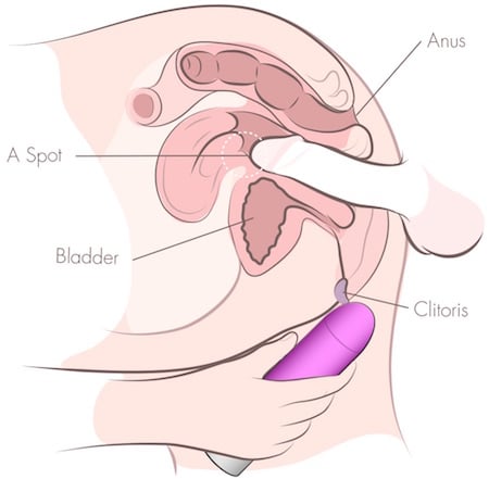 How To Find Stimulate Your A Spot To Orgasm 18 A Spot Positions