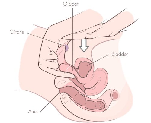 How To Finger To Orgasm