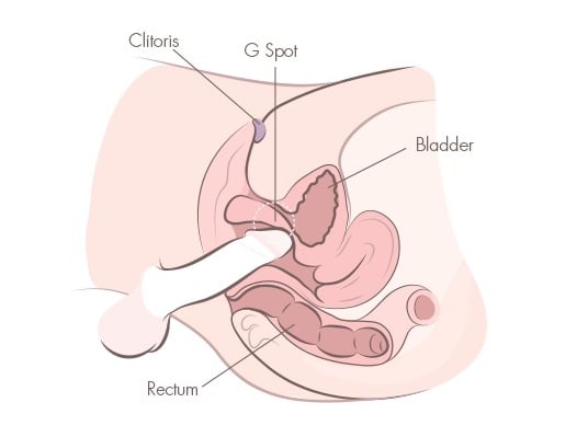 g spot best position - how-to-squirt-g-spot-angle