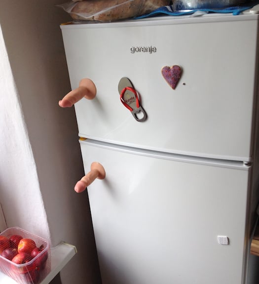 suction-dildos-fridge-door-handles