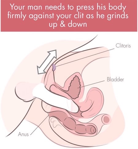 grinding on clitoris cross section illustration