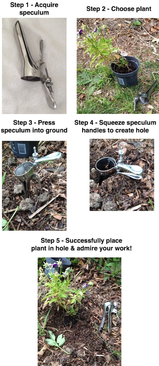 speculum-hole-digger