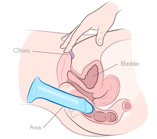 anal masturbation with dildo illustration