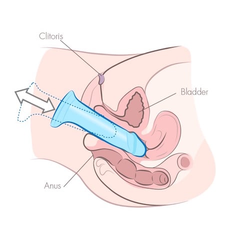 deep thrusting dildo illustration