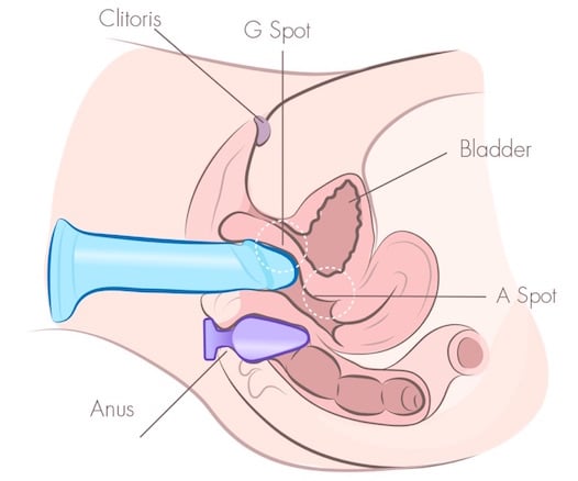 double penetration with dildo butt plug illustration