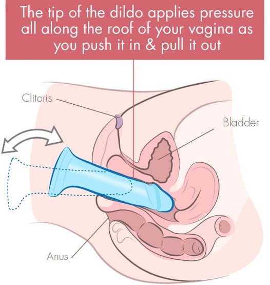 g spot milking dildo cross section illustration