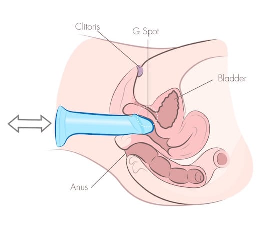 short and shallow dildo thrusting illustration