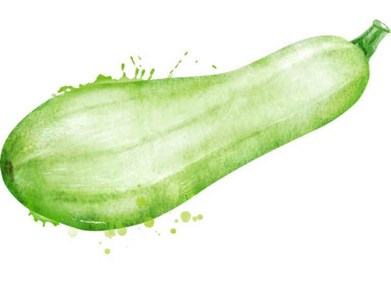 31 Common Household Things To Use As A Dildo