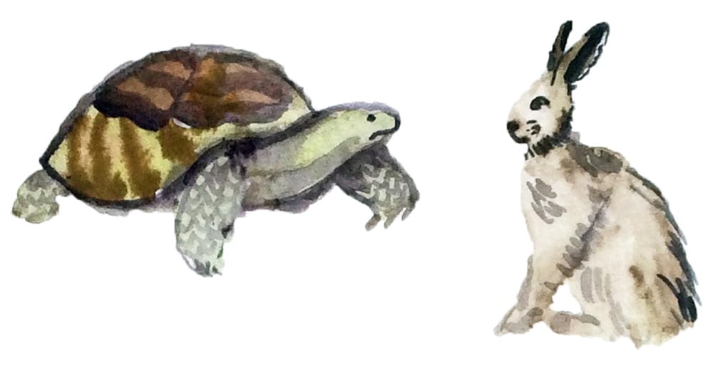 tortoise-hare-watercolor-illustration