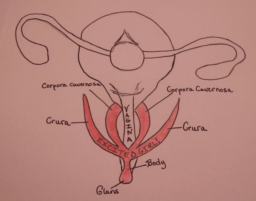 Black Pussy Diagram - Vaginal Diagram: The Secret Anatomy to Unlocking Full Body ...