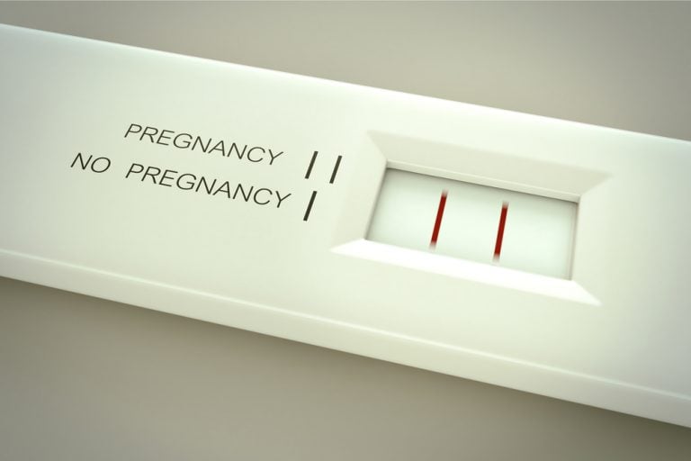 Extreme Impregnation Porn - Impregnation Fetish Explained: Where Risks Meets Satisfaction