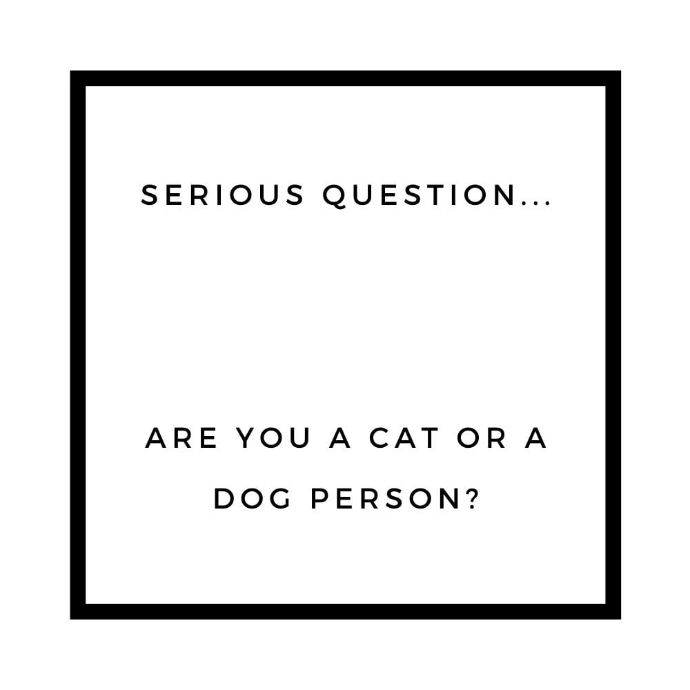 are you a cat or a dog person