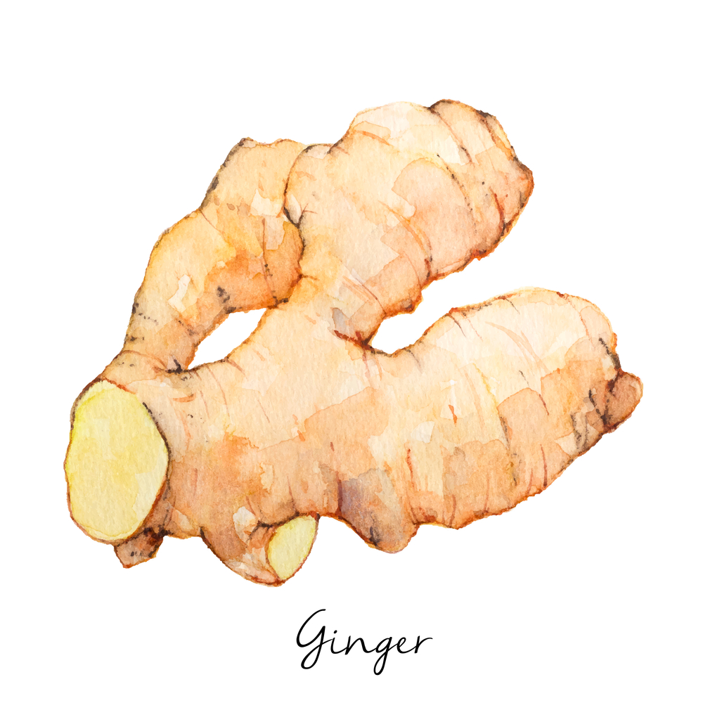 Ginger Anal Pain - Figging 101: From Ancient Punishment to Modern Pleasure