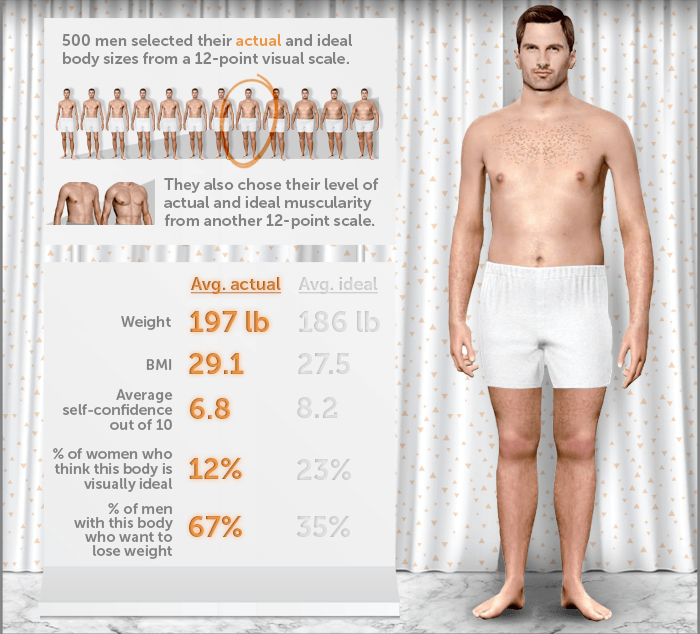 Weight Expectations Visualizing The Average Man And Woman S Bodies