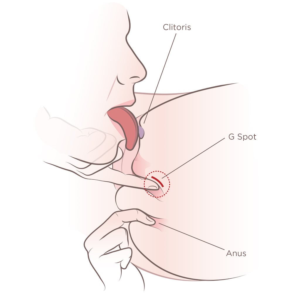 Where to lick a girls vagina