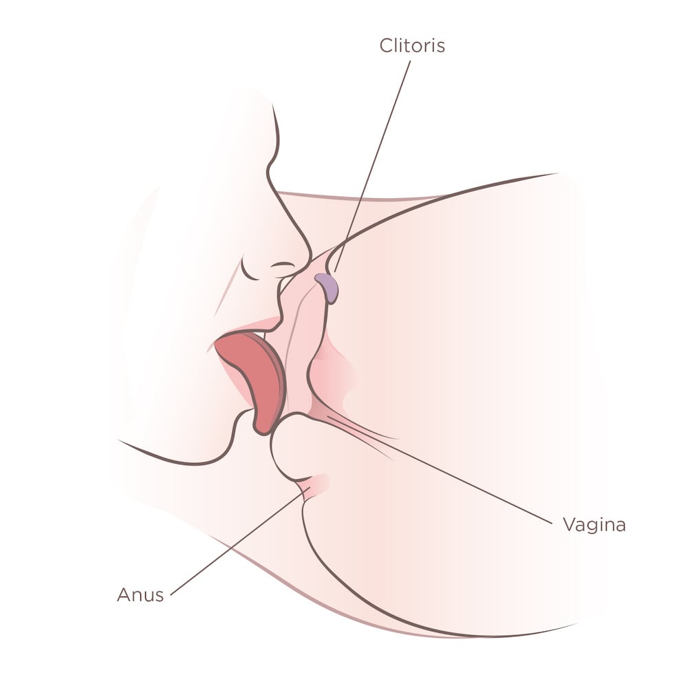 tongue licking the bottom of vagina showing how to perform cunnilingus
